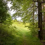 App 510 Panoramic Hohegeiss Mit Fernblick