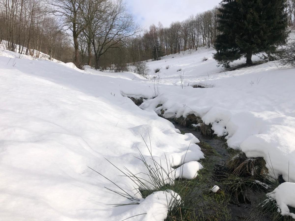 App 510 Panoramic Hohegeiss Mit Fernblick Appartement Braunlage