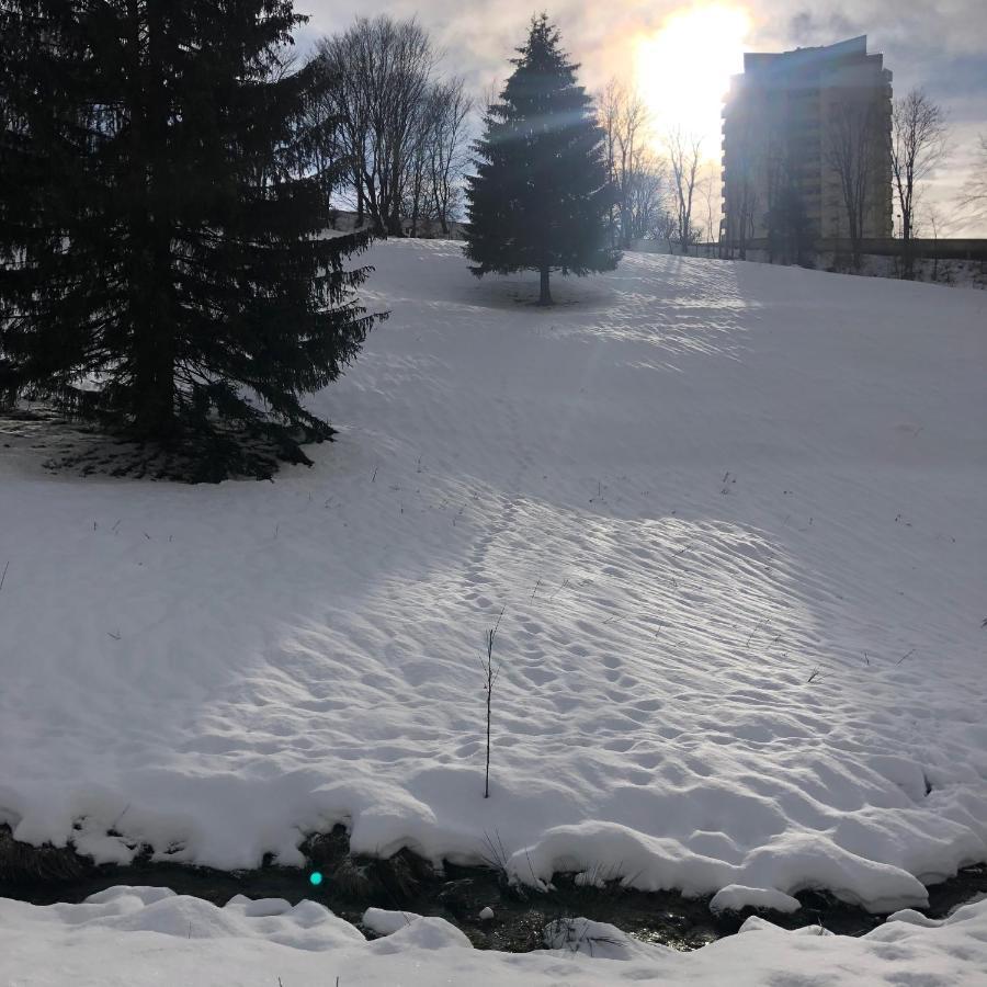 App 510 Panoramic Hohegeiss Mit Fernblick Appartement